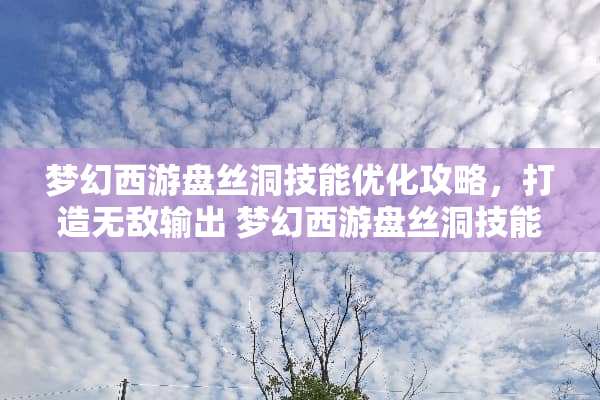 梦幻西游盘丝洞技能优化攻略，打造无敌输出 梦幻西游盘丝洞技能