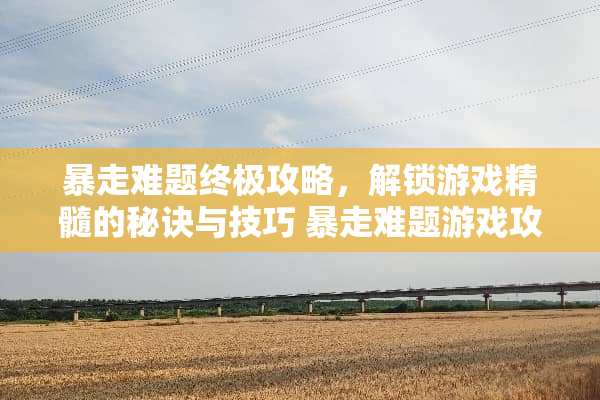 暴走难题终极攻略，解锁游戏精髓的秘诀与技巧 暴走难题游戏攻略
