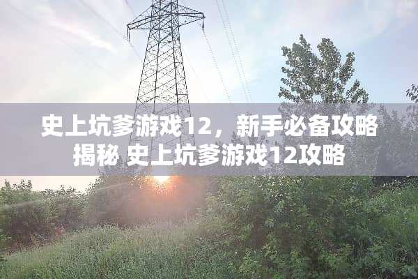 史上坑爹游戏12，新手必备攻略揭秘 史上坑爹游戏12攻略