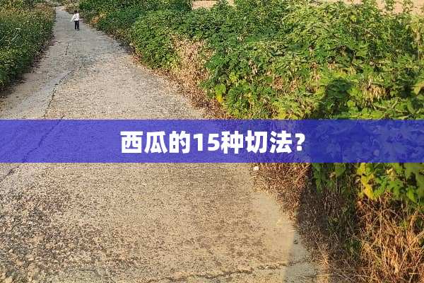 西瓜的15种切法？
