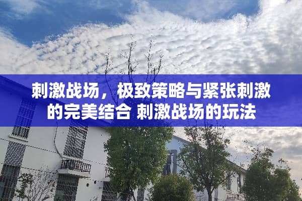 **战场，极致策略与紧张**的完美结合 **战场的玩法