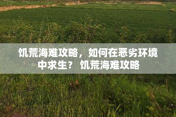饥荒海难攻略，如何在恶劣环境中求生？ 饥荒海难攻略