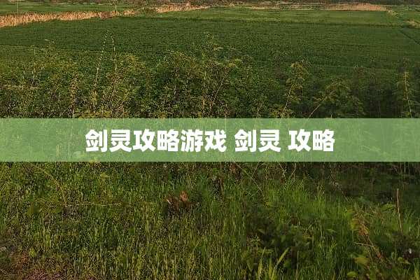 剑灵攻略游戏 剑灵 攻略