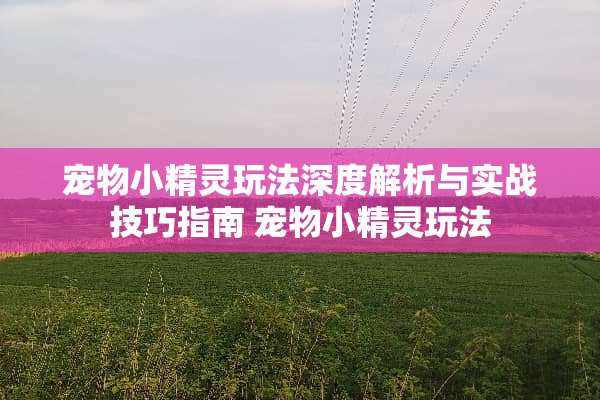 宠物小精灵玩法深度解析与实战技巧指南 宠物小精灵玩法