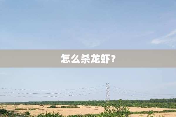 怎么杀龙虾？