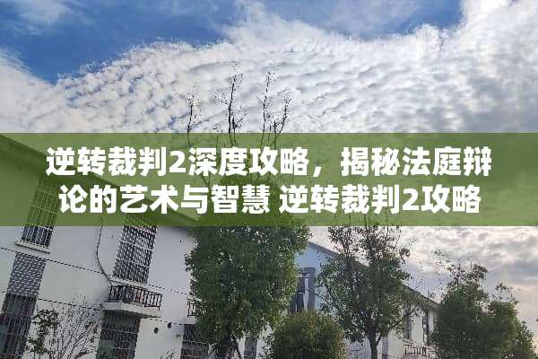 逆转裁判2深度攻略，揭秘法庭辩论的艺术与智慧 逆转裁判2攻略