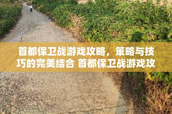 首都保卫战游戏攻略，策略与技巧的完美结合 首都保卫战游戏攻略