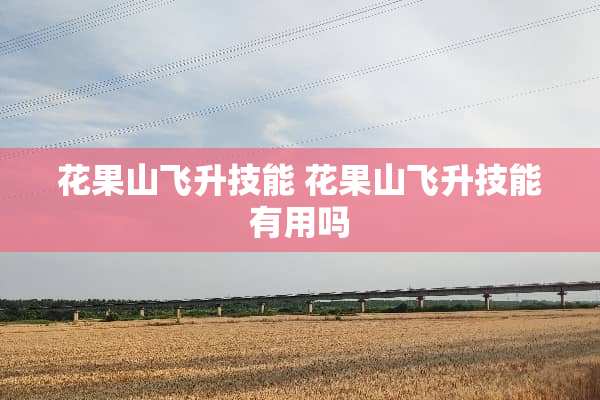 花果山飞升技能 花果山飞升技能有用吗
