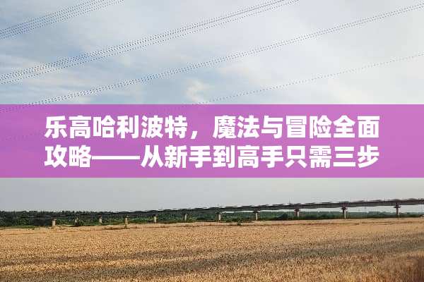 乐高哈利波特，魔法与冒险全面攻略——从新手到高手只需三步！ 乐高哈利波特攻略