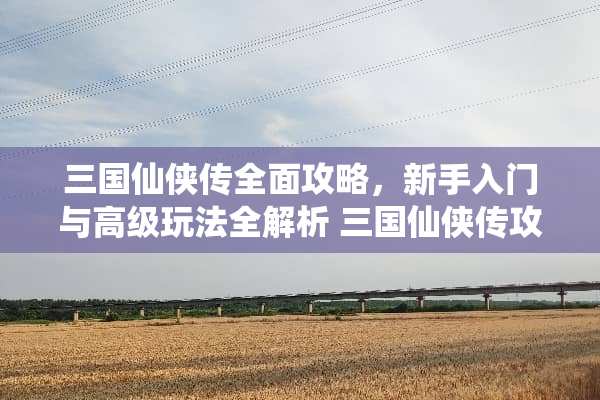 三国仙侠传全面攻略，新手入门与高级玩法全解析 三国仙侠传攻略