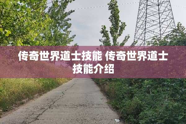 传奇世界道士技能 传奇世界道士技能介绍