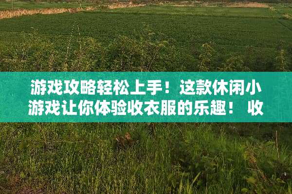 游戏攻略轻松上手！这款休闲小游戏让你体验收衣服的乐趣！ 收衣服游戏攻略