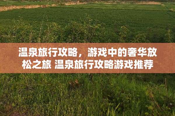 温泉旅行攻略，游戏中的奢华放松之旅 温泉旅行攻略游戏推荐
