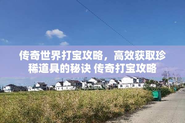 传奇世界打宝攻略，高效获取珍稀道具的秘诀 传奇打宝攻略