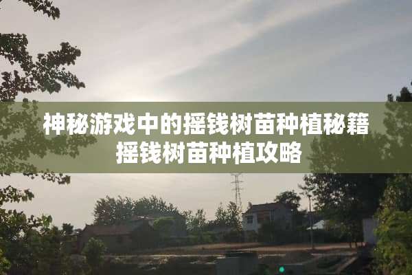 神秘游戏中的摇钱树苗种植秘籍 摇钱树苗种植攻略