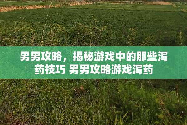 男男攻略，揭秘游戏中的那些泻药技巧 男男攻略游戏泻药