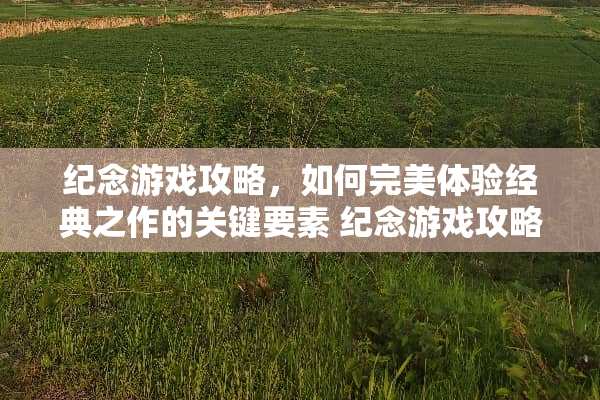 纪念游戏攻略，如何完美体验经典之作的关键要素 纪念游戏攻略