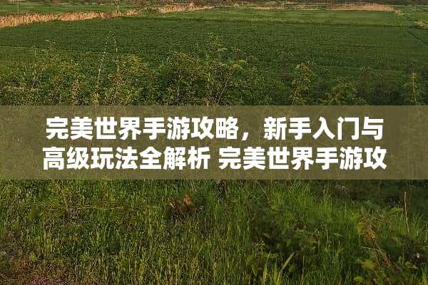 完美世界手游攻略，新手入门与高级玩法全解析 完美世界手游攻略