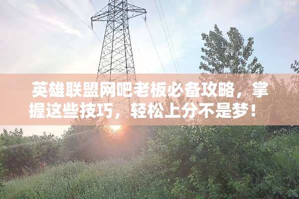 英雄联盟网吧老板必备攻略，掌握这些技巧，轻松上分不是梦！ 当网吧老板游戏攻略