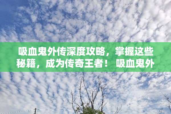吸血鬼外传深度攻略，掌握这些秘籍，成为传奇王者！ 吸血鬼外传游戏攻略