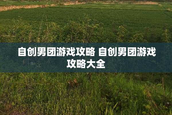自创男团游戏攻略 自创男团游戏攻略大全