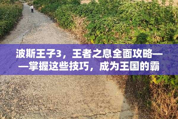 波斯王子3，王者之息全面攻略——掌握这些技巧，成为王国的霸主！ 波斯王子3攻略