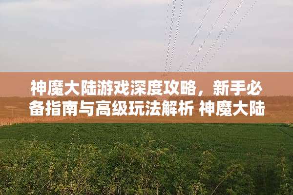 神魔**游戏深度攻略，新手必备指南与高级玩法解析 神魔**攻略游戏