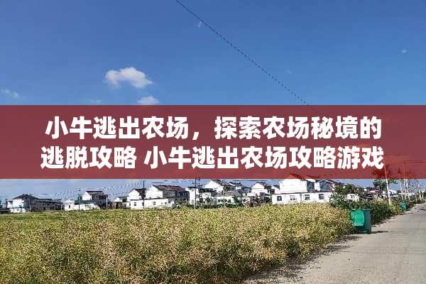 小牛逃出农场，探索农场秘境的逃脱攻略 小牛逃出农场攻略游戏