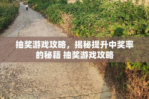 抽奖游戏攻略，揭秘提升**率的秘籍 抽奖游戏攻略