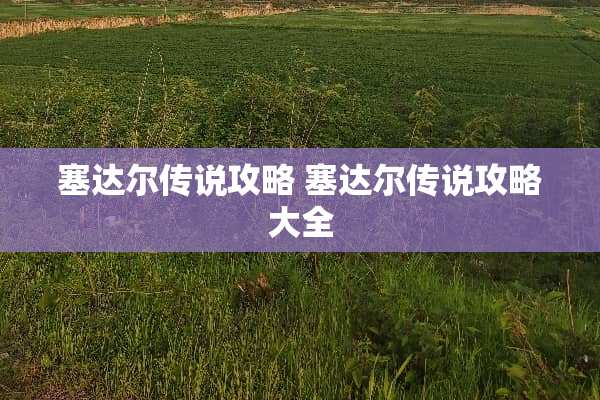 塞达尔传说攻略 塞达尔传说攻略大全