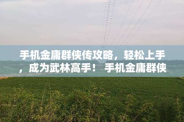 手机金庸群侠传攻略，轻松上手，成为武林高手！ 手机金庸群侠传攻略
