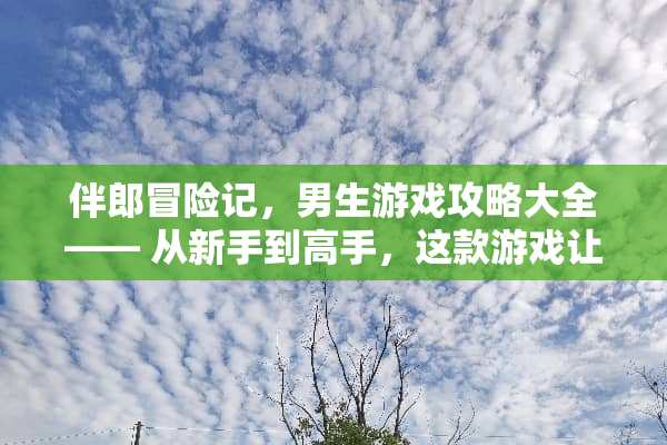 伴郎冒险记，男生游戏攻略大全—— 从新手到高手，这款游戏让你成为伴郎界的传奇！ 伴郎攻略游戏推荐男生