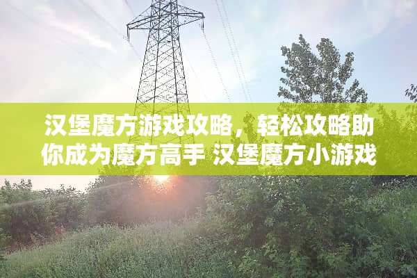 汉堡魔方游戏攻略，轻松攻略助你成为魔方高手 汉堡魔方小游戏攻略