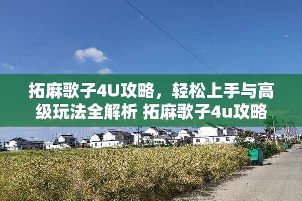 拓麻歌子4U攻略，轻松上手与高级玩法全解析 拓麻歌子4u攻略