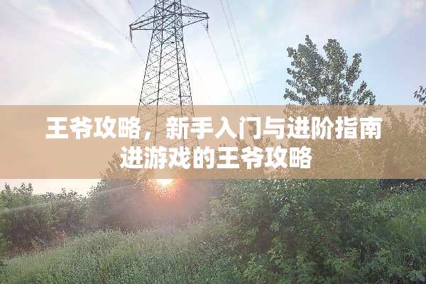 王爷攻略，新手入门与进阶指南 进游戏的王爷攻略
