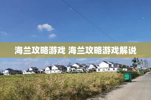 海兰攻略游戏 海兰攻略游戏解说