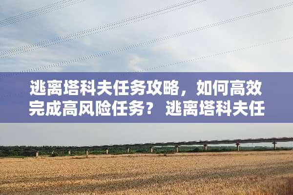 逃离塔科夫任务攻略，如何高效完成高风险任务？ 逃离塔科夫任务攻略