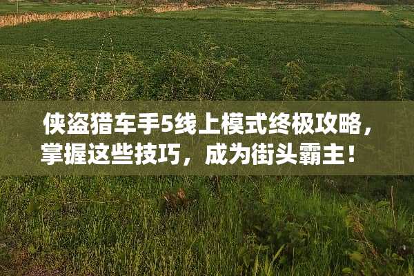 侠盗猎车手5线上模式终极攻略，掌握这些技巧，成为街头霸主！ gta5线上模式攻略