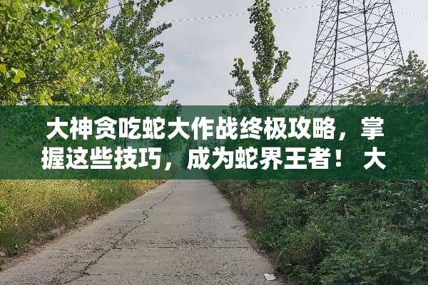 大神贪吃蛇大作战终极攻略，掌握这些技巧，成为蛇界王者！ 大神贪吃蛇游戏攻略