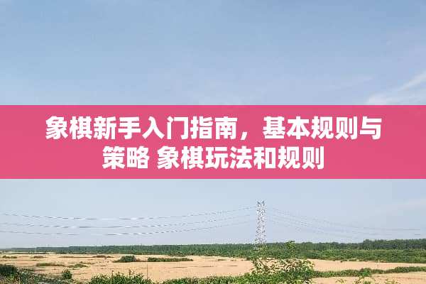 象棋新手入门指南，基本规则与策略 象棋玩法和规则