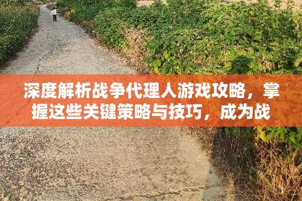 深度解析战争代理人游戏攻略，掌握这些关键策略与技巧，成为战场上的不败之王 战争代理人游戏攻略