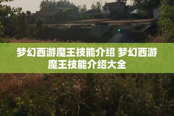 梦幻西游魔王技能介绍 梦幻西游魔王技能介绍大全