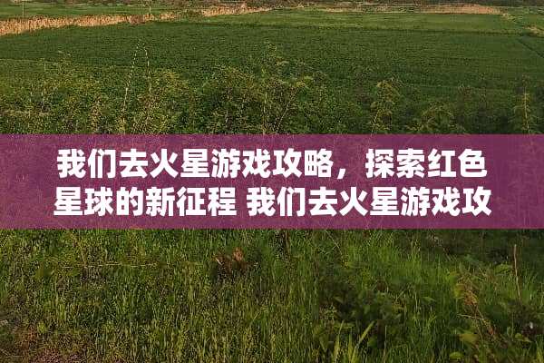 我们去火星游戏攻略，探索红色星球的新征程 我们去火星游戏攻略