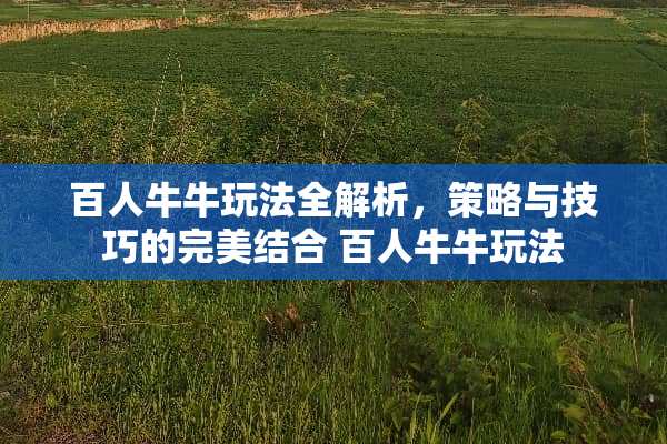 百人**玩法全解析，策略与技巧的完美结合 百人**玩法