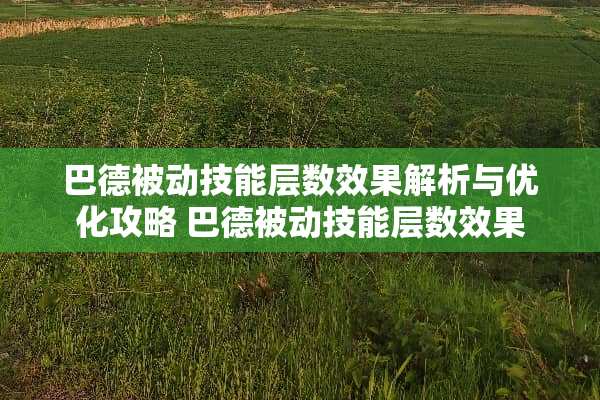 巴德被动技能层数效果解析与优化攻略 巴德被动技能层数效果