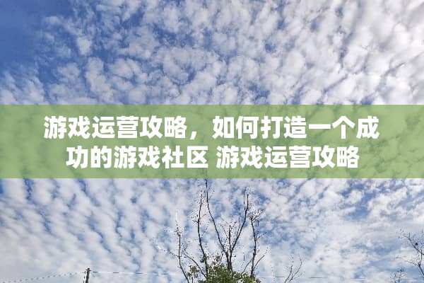 游戏运营攻略，如何打造一个成功的游戏社区 游戏运营攻略