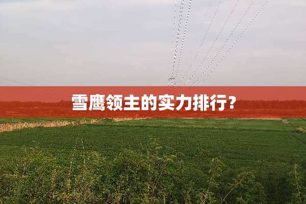 雪鹰领主的实力排行？