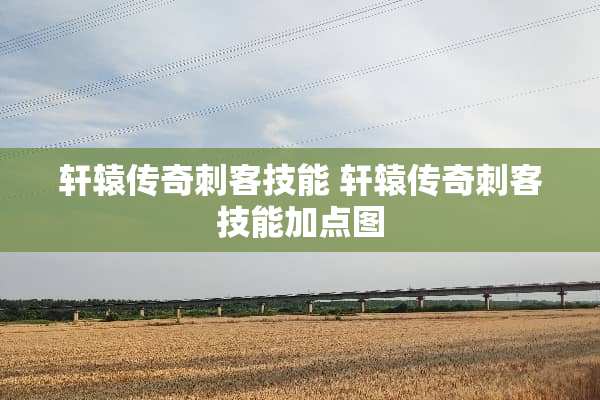 轩辕传奇刺客技能 轩辕传奇刺客技能加点图