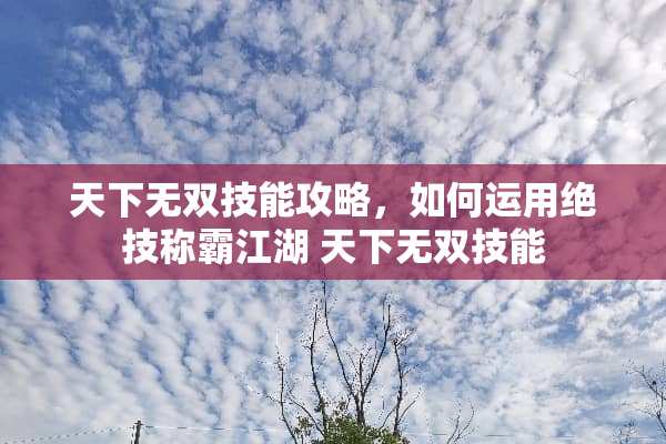 天下无双技能攻略，如何运用绝技称霸江湖 天下无双技能
