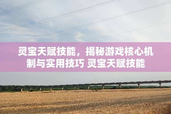 灵宝天赋技能，揭秘游戏核心机制与实用技巧 灵宝天赋技能